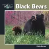 Black Bears cover