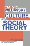 Culture and Social Theory cover