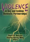 Violence in Gay and Lesbian Domestic Partnerships cover