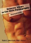 Eclectic Views on Gay Male Pornography cover