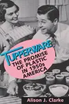 Tupperware cover