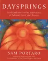 Daysprings cover