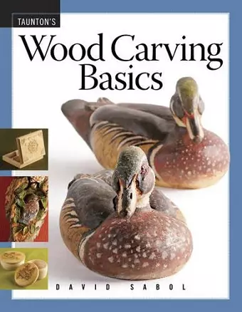 Wood Carving Basics cover