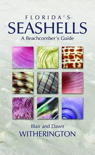 Florida's Seashells cover