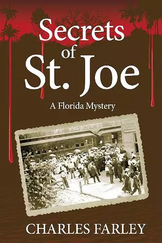 Secrets of St. Joe cover