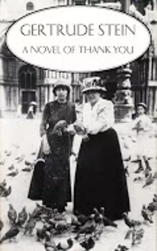 Novel of Thank You cover