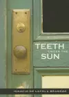 Teeth Under the Sun cover