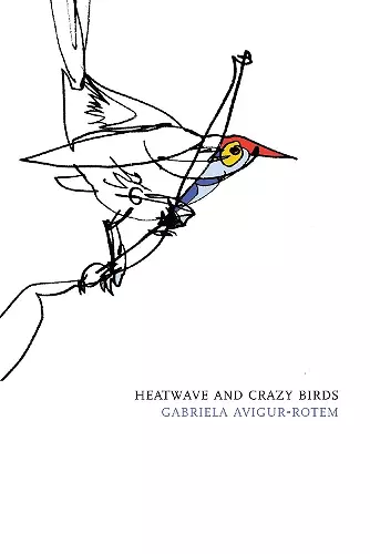Heatwave and Crazy Birds cover