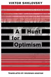A Hunt for Optimism cover