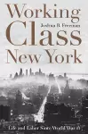 Working-Class New York cover