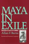 Maya In Exile cover