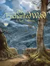 The Enchanted Wood cover