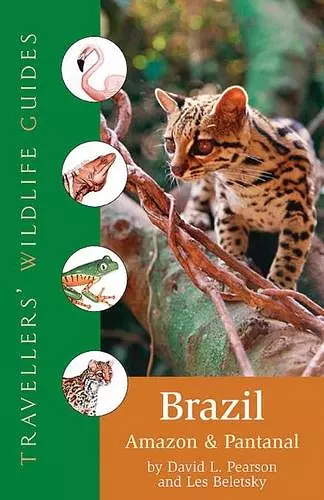 Brazil cover