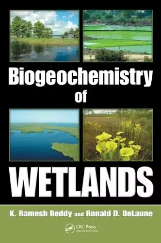 Biogeochemistry of Wetlands cover