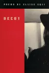 Decoy cover