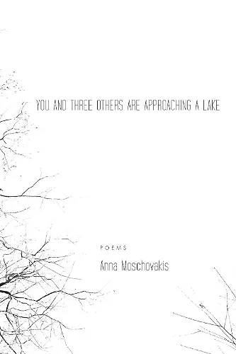 You and Three Others Are Approaching a Lake cover