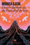 Electric Shamans at the Festival of the Sun cover