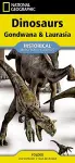 National Geographic Dinosaurs of Gondwana & Laurasia Map cover