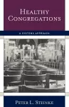 Healthy Congregations cover