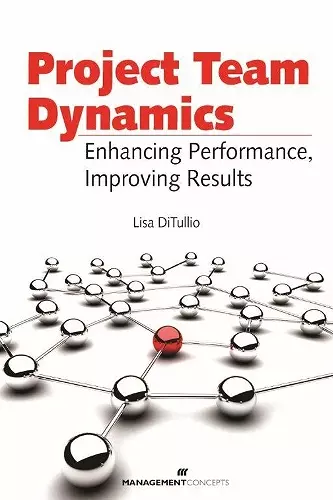 Project Team Dynamics cover