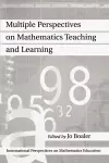 Multiple Perspectives on Mathematics Teaching and Learning cover