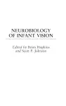 Neurobiology of Infant Vision cover