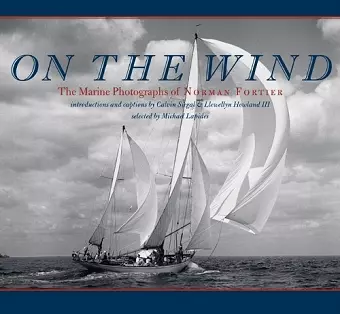 On the Wind cover