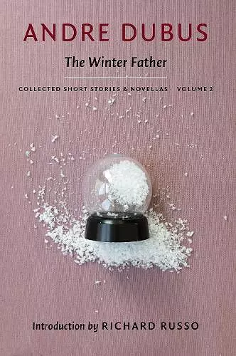 The Winter Father cover