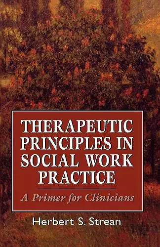 Therapeutic Principles in Social Work Practice cover