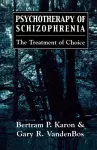 Psychotherapy of Schizophrenia cover