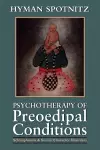 Psychotherapy of Preoedipal Conditions cover