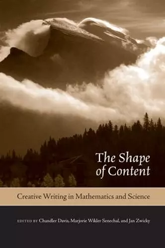 The Shape of Content cover