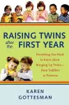 Raising Twins After the First Year cover