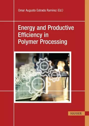 Energy and Productive Efficiency in Polymer Processing cover