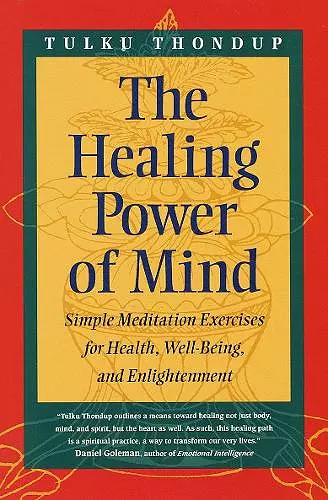 The Healing Power of Mind cover