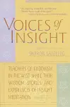 Voices of Insight cover