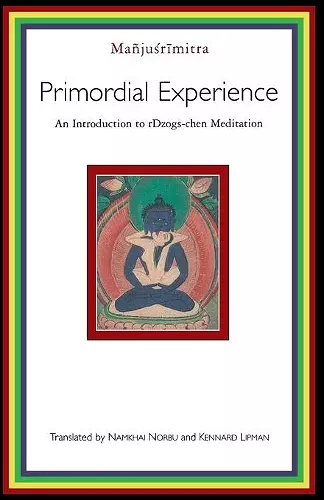 Primordial Experience cover