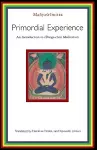 Primordial Experience cover