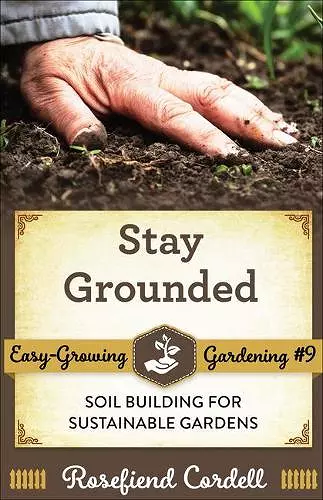 Stay Grounded cover