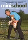 Mini School cover
