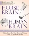 Horse Brain, Human Brain cover