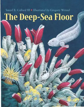 The Deep-Sea Floor cover