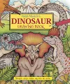 Ralph Masiello's Dinosaur Drawing Book cover
