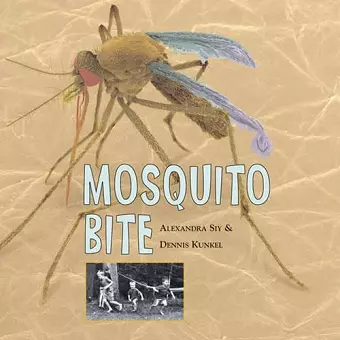 Mosquito Bite cover