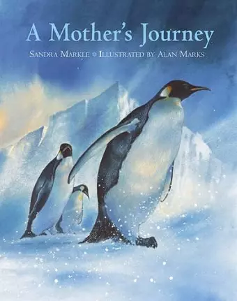 A Mother's Journey cover