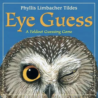 Eye Guess cover