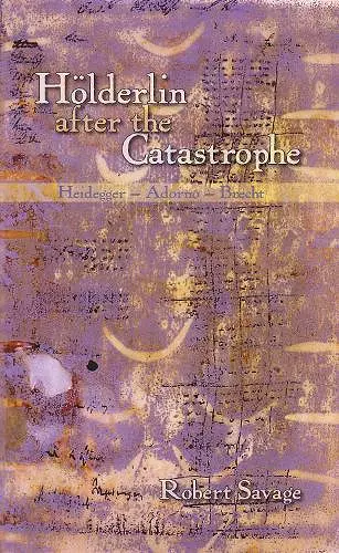 Hölderlin after the Catastrophe cover