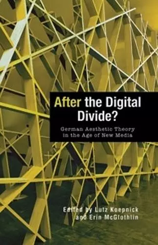 After the Digital Divide? cover