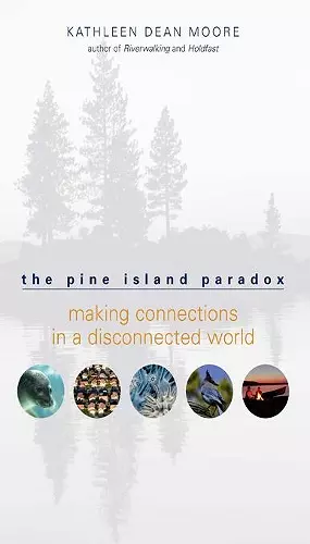 The Pine Island Paradox cover