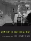 Wonderful Investigations cover